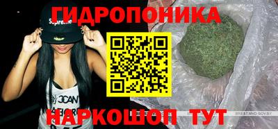мяу мяу кристалл Ярославль