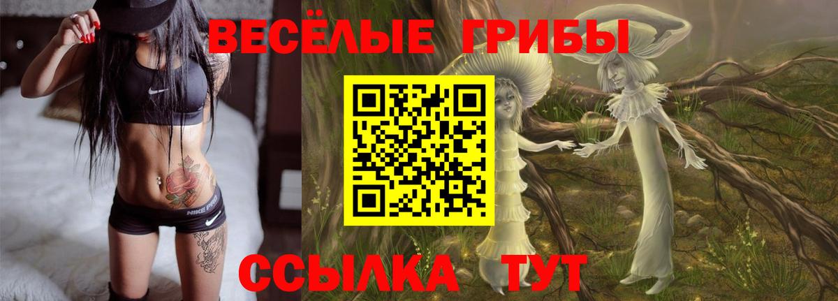 Ковров  Псилоцибиновые грибы прущие грибы  Вход с VPN  Галлюциногенные грибы ЛСД 