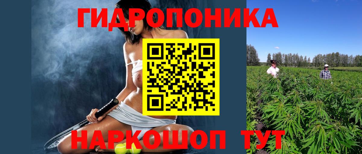 Конопля планчик Ковров